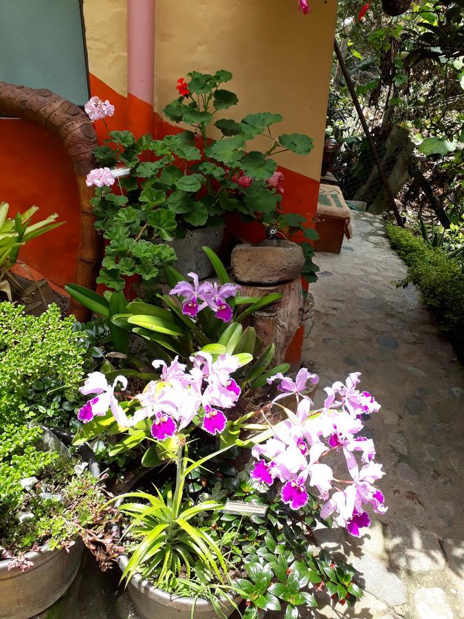 Cabanas El Rincon Paisa Hotel เฮรีโค ภายนอก รูปภาพ
