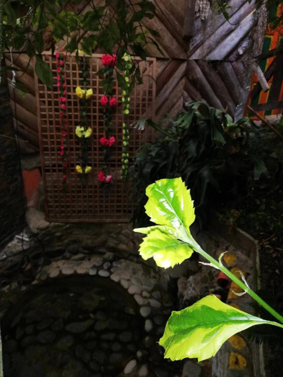 Cabanas El Rincon Paisa Hotel เฮรีโค ภายนอก รูปภาพ